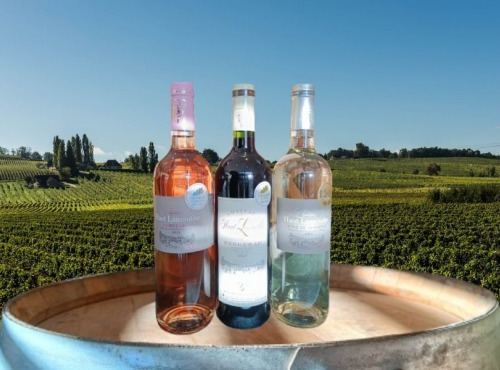 Château Haut-Lamouthe - Lot de 3 Bouteilles: AOC Bergerac Rosé, Rouge, et Blanc