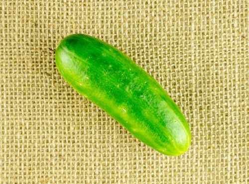 ChâteauFer - Concombre - Libanais 200g