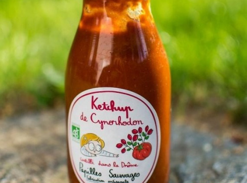 Papilles Sauvages - Ketchup de Cynorhodon bio et artisanal