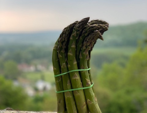 Les Asperges et Framboises du Soissonnais - Asperges Vertes - 1kg