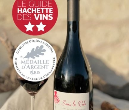 Domaine de la Chopinière du Roy - Vin rouge Saint Nicolas de Bourgueil - Cuvée Sous la Robe 2023 - 6x75cl