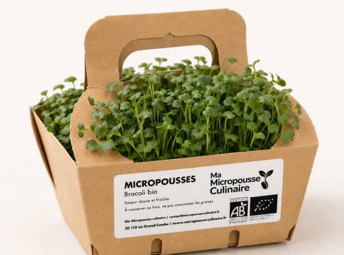 Ma Micropousse culinaire - Micro-pousses bio de brocoli Calabrese – 4 barquettes