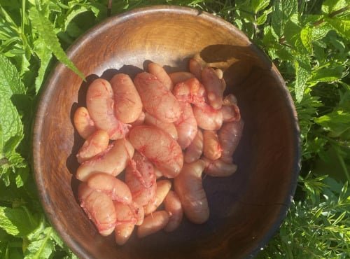 Des Poules et des Vignes à Bourgueil - Rognon de coq