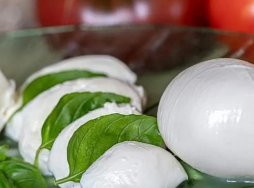 Ferme Lait Prés Verts - Mozzarella 190 g