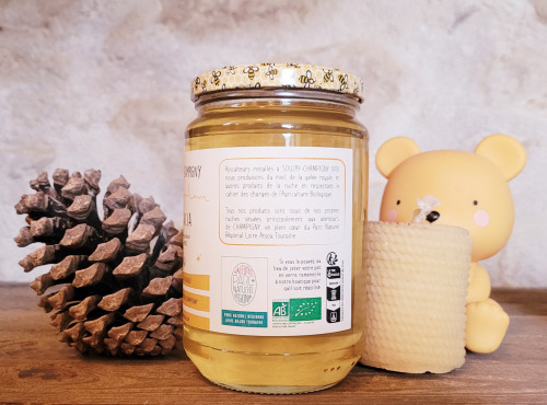 Les Butineuses de Champigny - Miel d'acacia bio - 1000g