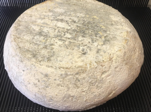 SCEA Brebis du Berry - la délice, tomme de brebis