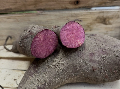 ChâteauFer - Patate douce - Chair violette 1kg