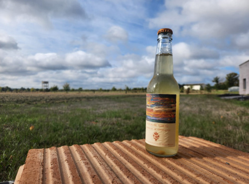 ChâteauFer - Kombucha Sureau 33cl