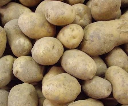 Les Jardins de Gérard - Pomme de terre Charlotte Bio - 1kg