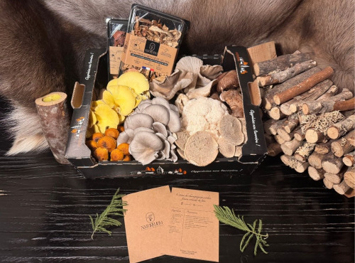 Naturélium - Panier Gourmand de Fin d’Année – Champignons d’Exception