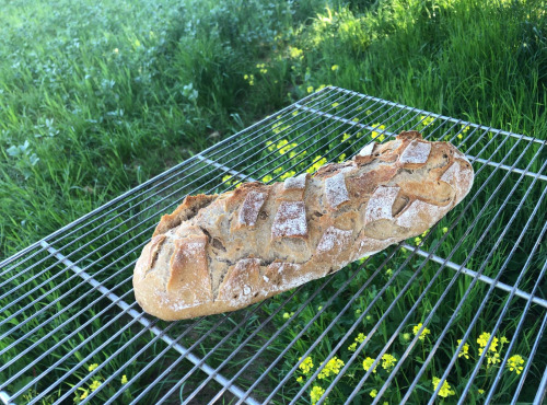 La Ferme du Bois Ramard - Pain Complet Bio x5