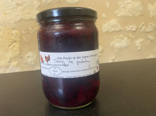 Des Poules et des Vignes à Bourgueil - Sang de pintade ( EXPÉDITION UNIQUEMENT DU LUNDI AU MERCREDI)