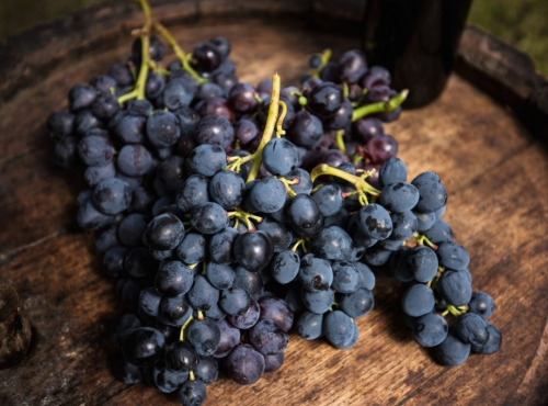 Les Jardins de Gérard - Raisin noir Bio - 400g