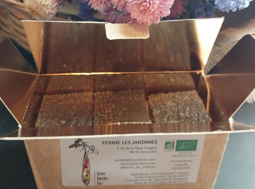 Ferme Les Jardines - Pâtes de fruits de Kïwais Bio