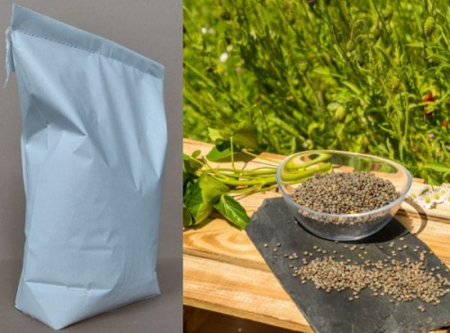 BERRY GRAINES - Lentilles Vertes De France - Sac 10 Kg