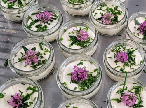 Ferme de l'Elanion - Tartlaceba 110g