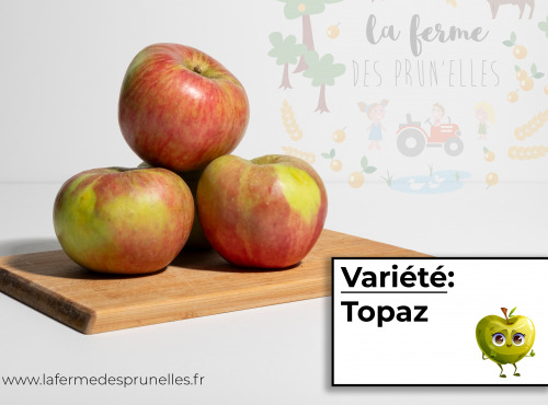 La Ferme des Prun'Elles - pomme Topaz