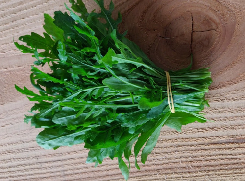 Ferme de la ville basse - Roquette Sauvage Bio 500Gr