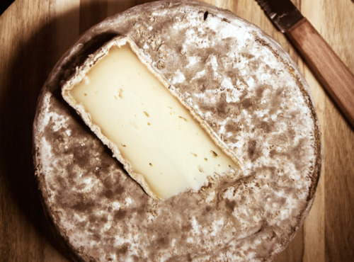 Maréchal Fraicheur - Tomme de chèvre fermière
