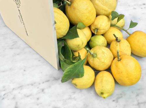 Maison Gannac - Coffret 4,5 Kg Citrons De Menton Igp Bio