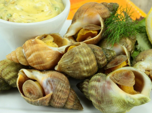 Buccimarée Producteurs Associés - Bulot Cuit Frais  - 500g