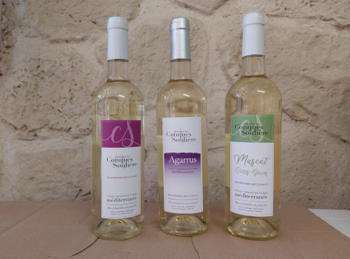 Domaine Les Conques Soulière - BLANC- 3 bouteilles Panaché 75 cl de Blanc IGP Méditerranée
