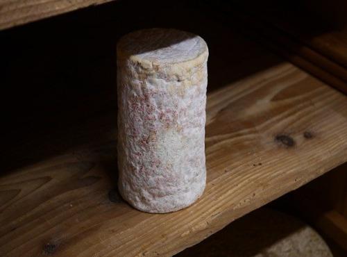 Alléosse Maitre Artisan Affineur Fromager - Fourme d'Ambert AOP