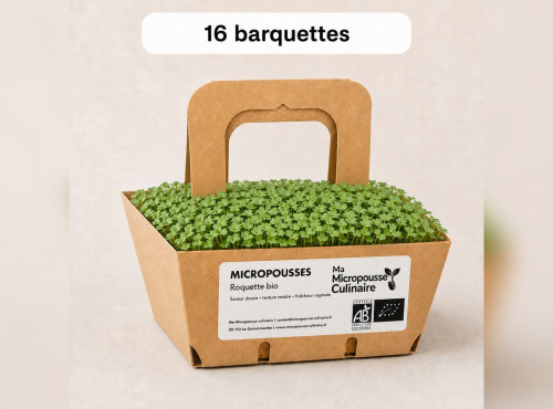 Ma Micropousse culinaire - Micro-pousses bio de roquette - 16 barquettes