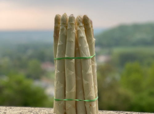 Les Asperges et Framboises du Soissonnais - Asperges Blanches calibre 22+ -20kg