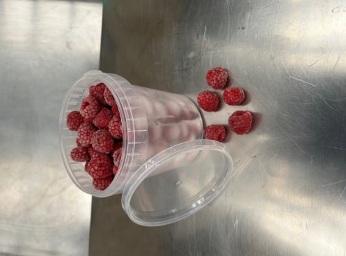 La Ferme des petits fruits - Framboises Bio Surgelées