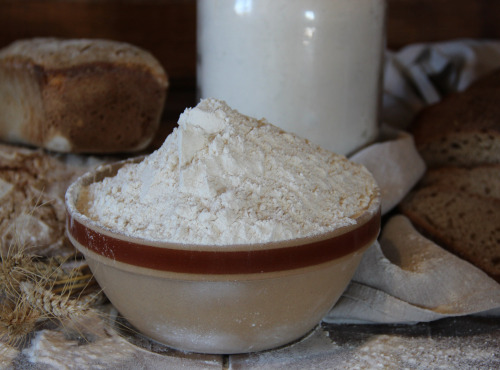 Le Verger de Crigne - Farine blé T80 bio - 1kg