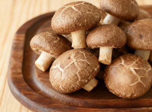 Cham B - Shiitakés Français Extra Frais  2kg