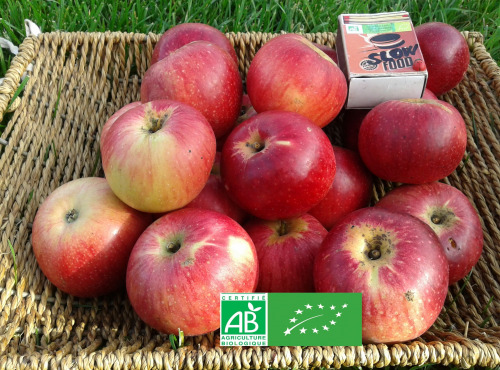 LES JARDINS DE KARINE - POMME Rouge de Lorraine - 3kg