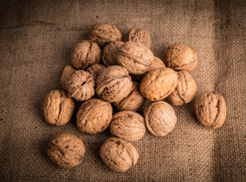 Nature et Saveurs - Ferme Aquaponique et Permacole Astérienne - Noix fraîche Franquette – croquante, douce