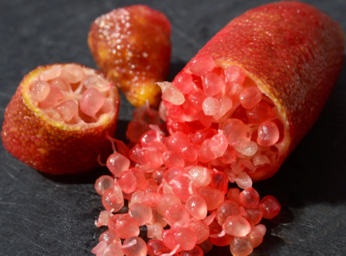 Ferme Les Jardines - Citron Caviar Red Crystals Bio