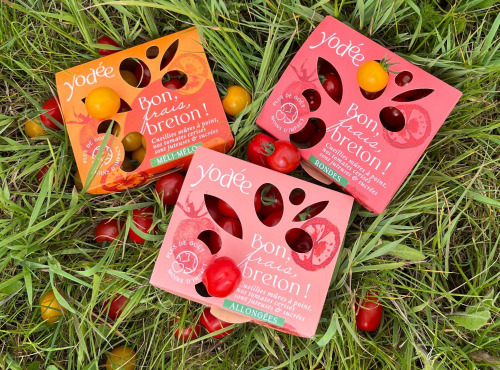 Agriloops - Assortiment de tomates Agriloops