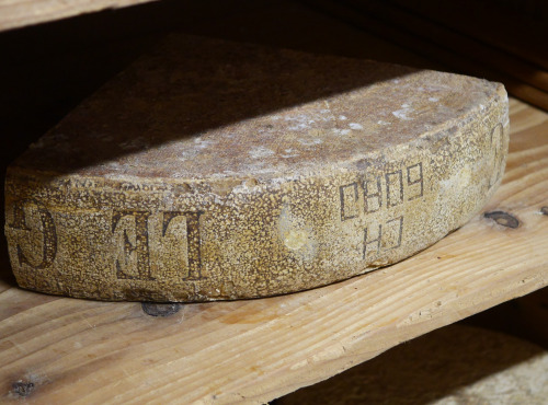 Alléosse Maitre Artisan Affineur Fromager - Gruyère de Fribourg AOP d'Alpage +18 mois