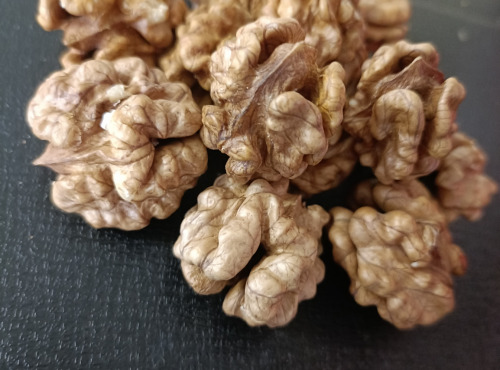 Rébecca les Jolies Fleurs - Cérneaux de noix