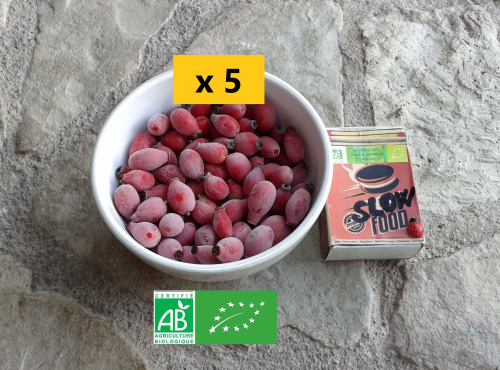 LES JARDINS DE KARINE - Baie d'églantier dit Cynorhodon surgelé - 1kg