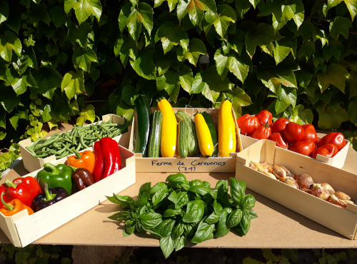 Ferme de Cernunnos - Panier de légumes d'été bio