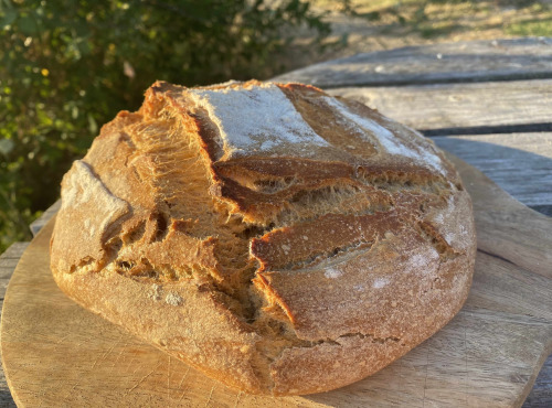 Ferme Sinsac - Pain au levain boule