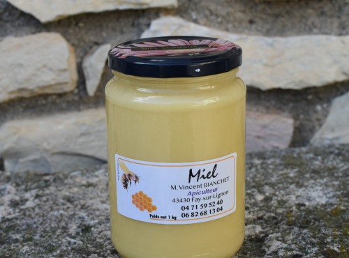 La Truite du Mézenc - Miel de fleurs crémeux - 1kg