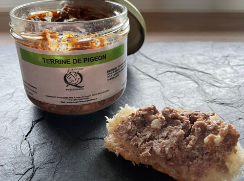 Quintart Pigeonneaux - Terrine de Pigeon