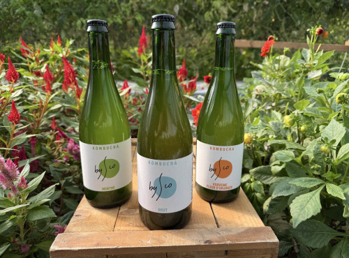 Nature et Saveurs - Ferme Aquaponique et Permacole Astérienne - Coffret Kombucha Bio Bysco - 3x75cl