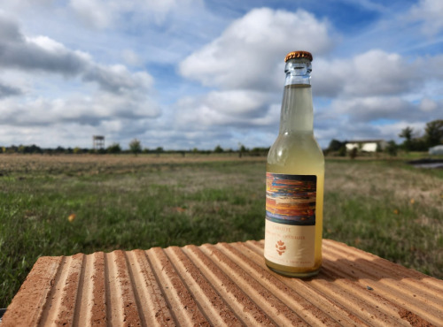 ChâteauFer - Kombucha Carotte 33cl