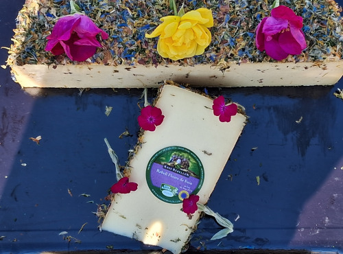 Boutique Boisette - Tomme "Fleurs de foin"
