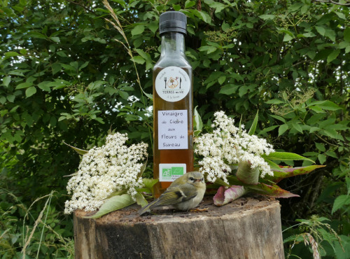 Terres EnVie - Vinaigre De Cidre Bio Aux Fleurs De Sureau