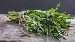 La Boite à Herbes - Estragon Français Bio - 100g