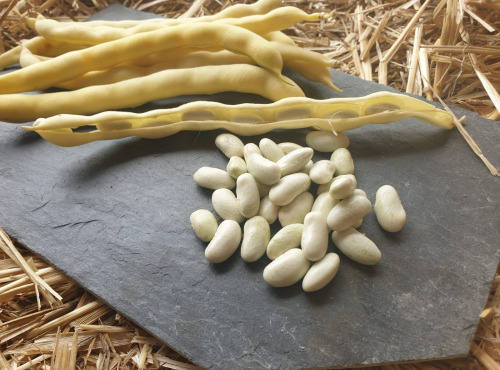 La Ferme de Milly - Anjou - Haricots coco frais à écosser bio - 500g