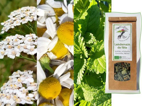 L'Agricueilleur du Suzon - Infusion Lendemain de fête BIO